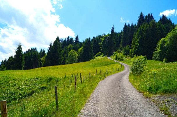 Zwischen Hüttenberg und Alpe Eck