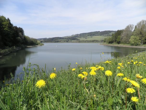 Am Grüntensee-Staudamm