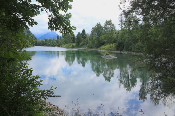 Auwaldsee