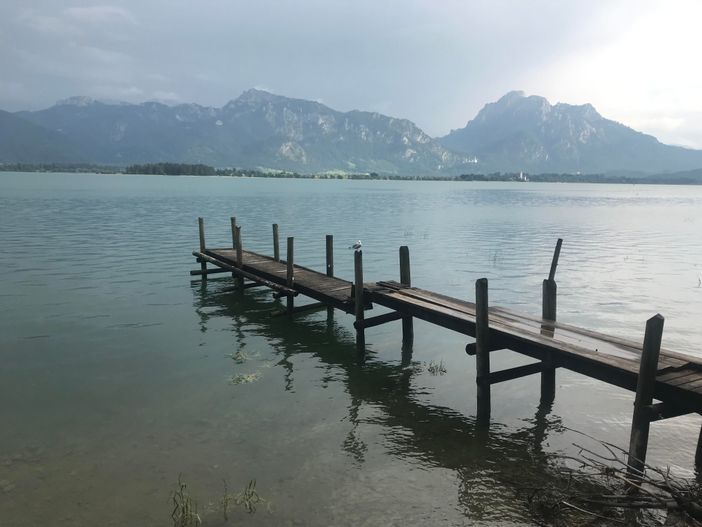 Forggensee