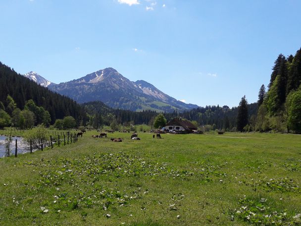 Vilstal mit Alpe Kalbelehof