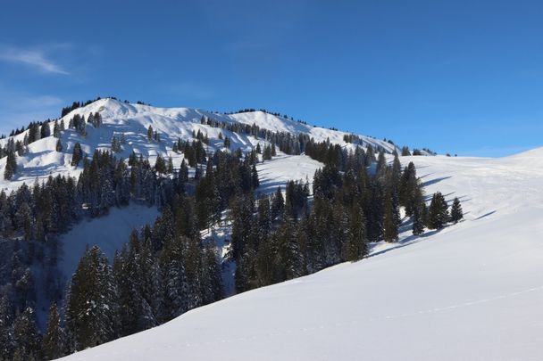 Blick zum Bleicher Horn von der Hubertushütte