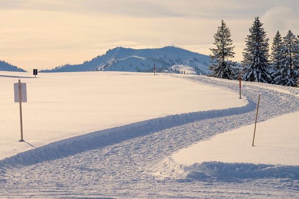 Winterspazierweg um das Ofterschwanger Horn