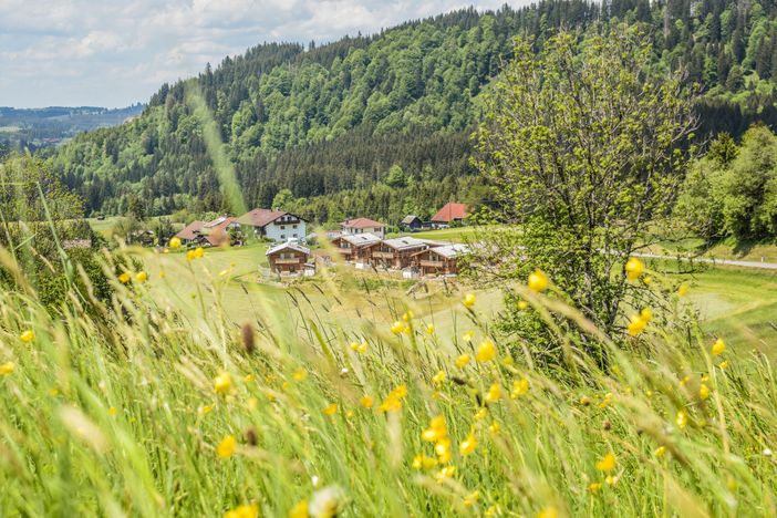 Schrofen Chalets