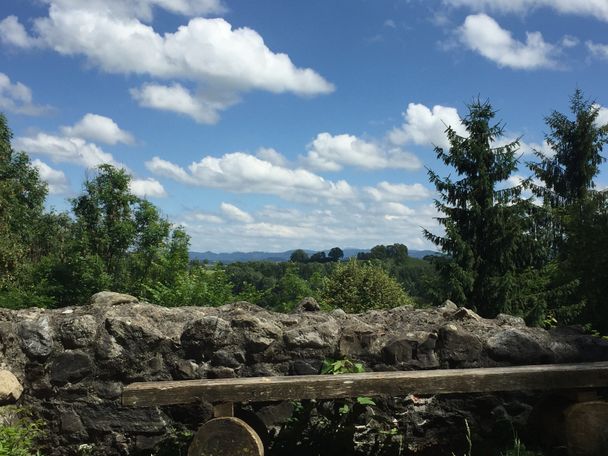 Ausblick von der Burgruine Ratzenried.