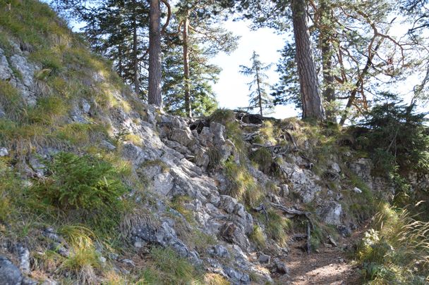 Weitere Kletterstelle auf dem Marienbrücken-Wanderweg