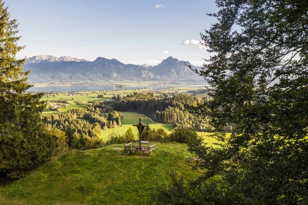 Allgäuer Logenplatzroute - die Berge im Blick