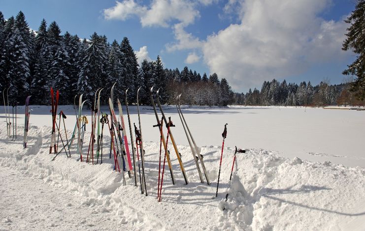 Lindenberg Waldsee-Loipe