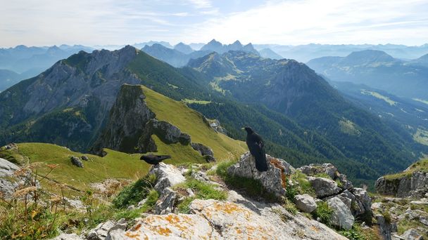 Ausblick vom Aggenstein