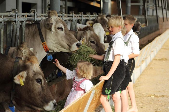 Hoftiere mit Kindern1