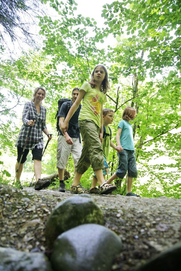 Eistobel zum Staufenberg - Wandern durch Wald und Wiese