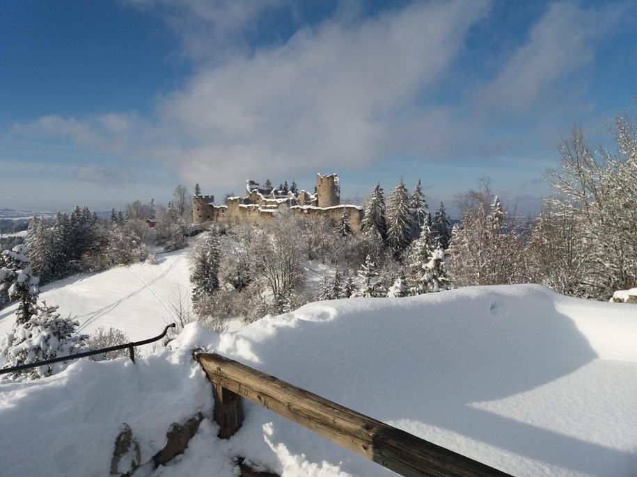 Burgruine Hohenfreyberg,