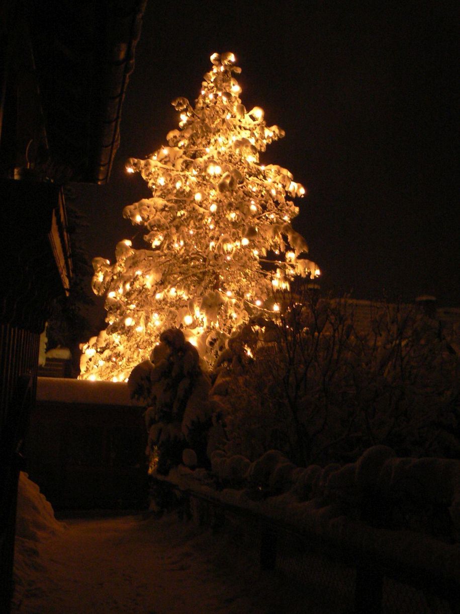 Weihnachtsbaum vor dem Haus
