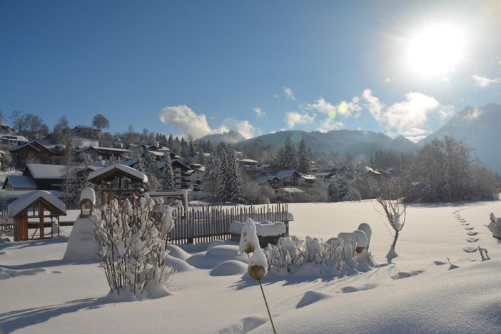 Garten im Winter