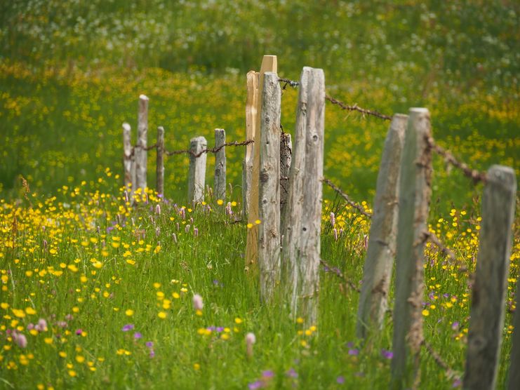 Landwirtschaft schafft Heimat_Niklas Lieb_klein