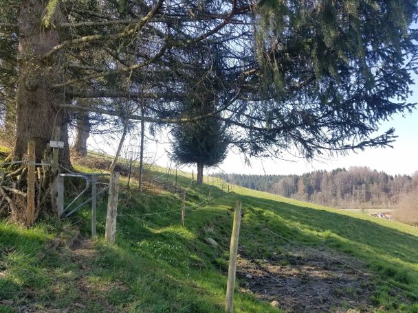 Wanderweg nach Epplings