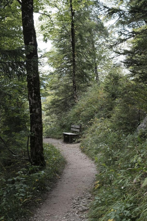 Ruhebank am Wanderweg zum Alpsee