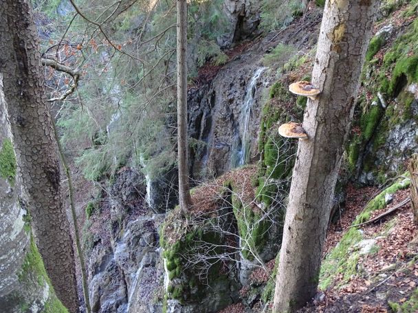 Auf der Tour "Rund um dem Ochsenberg"