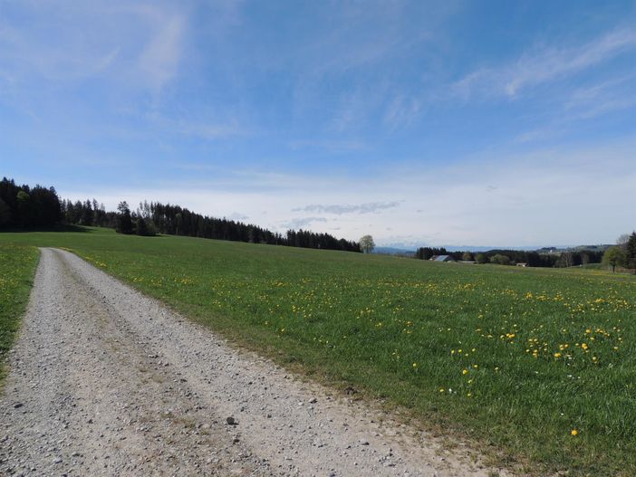 Weg zum "Hausberg" Gumpeltshofer Höhe 5min