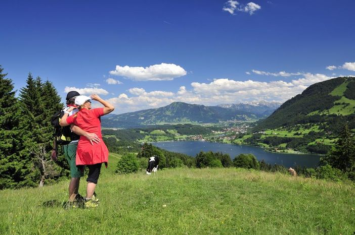 Alpsee Ausblick