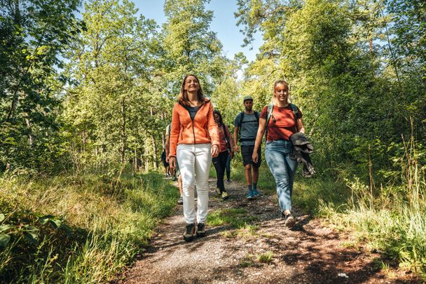 Schattige Wege durchs Wurzacher Ried