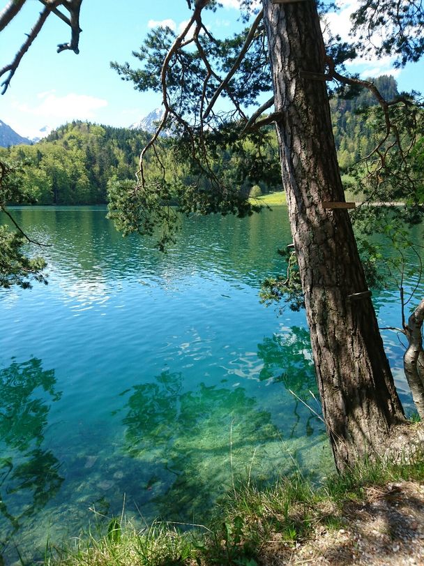 Glasklares Wasser im Alatsee