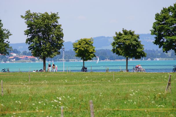 am Forggensee bei Brunnen