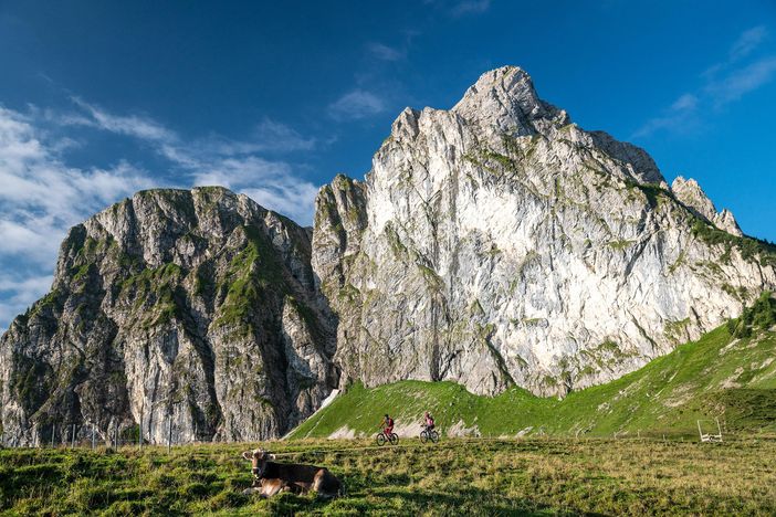 Mountainbiker_auf_dem_Breitenberg