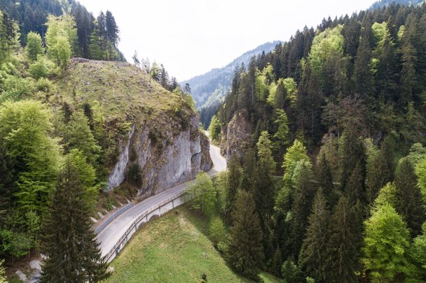 Hirschsprung aus der Vogel-Perspektive