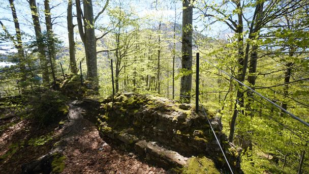 Weg zur Ruine Rothenfels