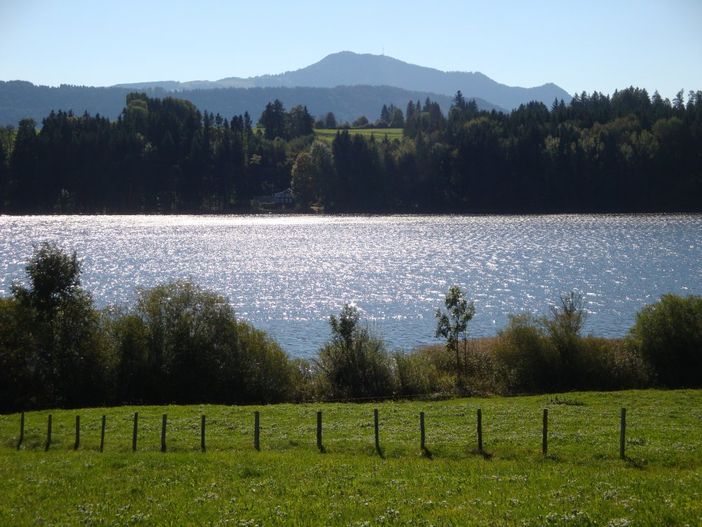 Der Niedersonthofener See