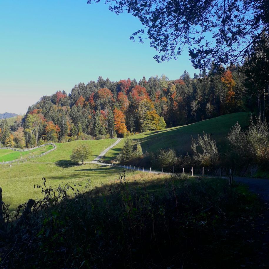 Wanderwege Oberstaufen und Umgebung