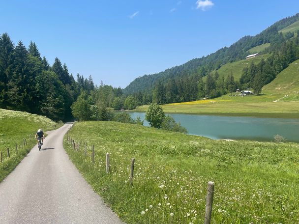 Vorbei am Leckner See