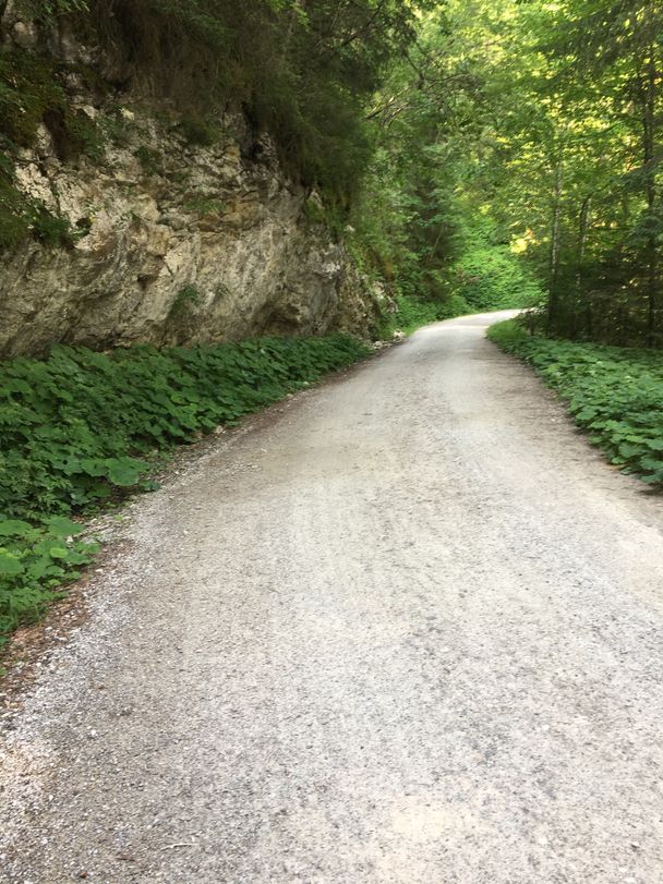 Fahrstraße Richtung Füssener Hütte