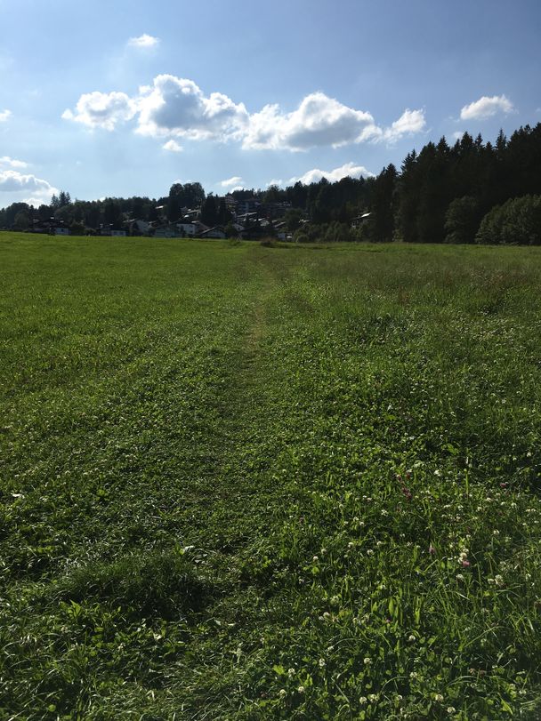 Wiesenpfad kurz vor Hopfen am See