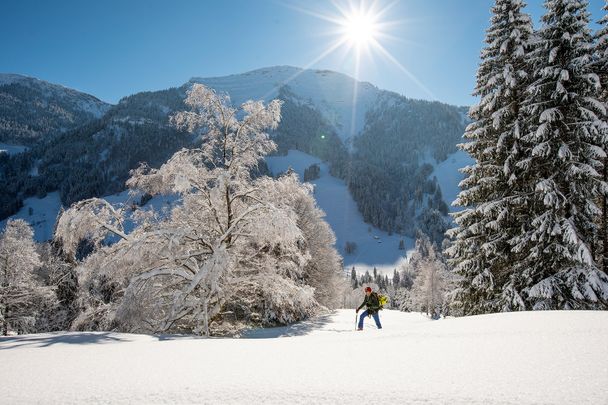 Winterzauber vor dem Hochgrat