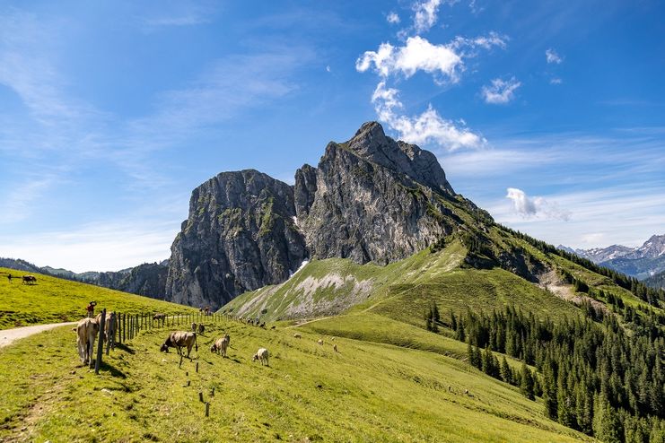 Wandergebiet am Breitenberg