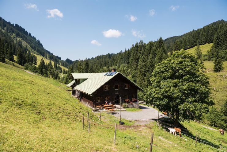 Herzberg Alpe - Obermaiselstein