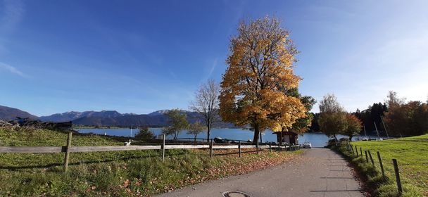 Dietringer Alm Rundweg, Rieden am Forggensee