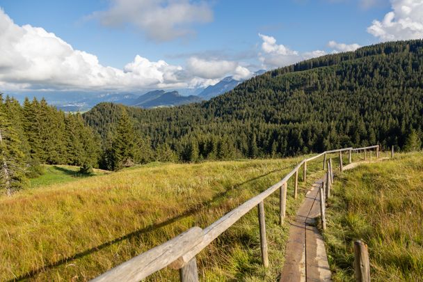 Wiesenweg bei der Kappeler Alp