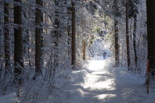 Tourismus Hörnerdörfer