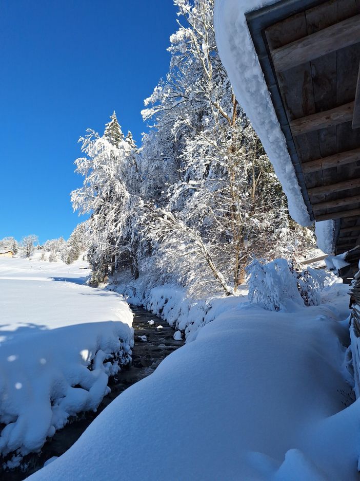 Der rauschende Winter