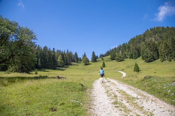 Wanderweg durch´s Himmelreich auf dem Kienberg