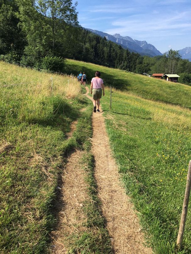 Pfad hoch zum Buchenberg