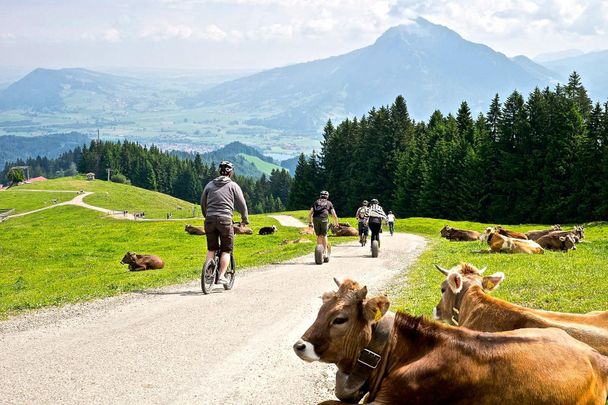 Downhill-Roller am Ofterschwanger Horn