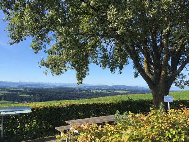 Ausblick Siggener Höhe