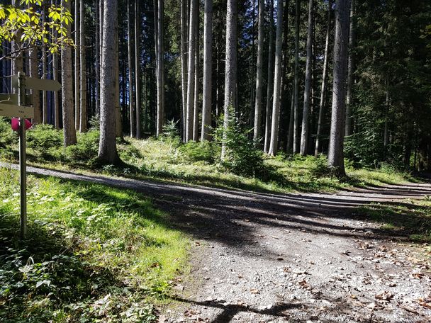 Wanderbeschilderung zum Faulensee