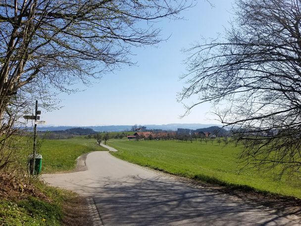 Blick auf Niederwangen