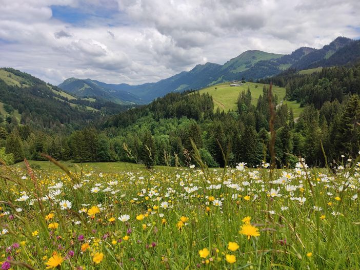 Allgäu