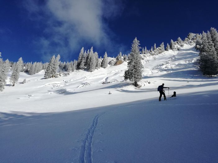 Winterlandschaft